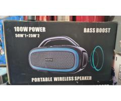 100W Portable Wireless Speaker